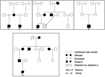 Clinical evaluation, accurate diagnosis and treatment of four pedigrees with Fabry's disease